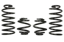 Žeminanti spyruoklė, Pro-Kit, 4vnt., pažeminimas priekis: 20-25mm, pažeminimas galas: 20mm,, Tinka: SEAT LEON 1.9 TDI Syncro/2.8 Cupra 4 02.01-06.06