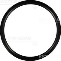 Įsiurbimo kolektoriaus tarpinė REINZ 40-76752-00