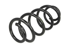 Pakabos spyruoklė LS4004289