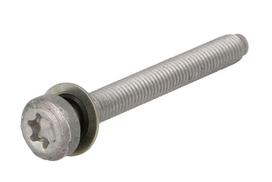 Automatinės pavarų dėžės varžtas ZF 0736 300 068