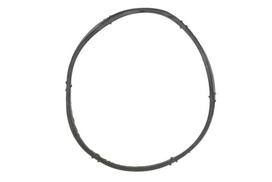 Įsiurbimo kolektoriaus tarpinė AJU01044500