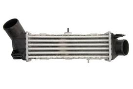 tarpinis suslėgto oro aušintuvas, kompresorius THERMOTEC DAT002TT