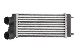 tarpinis suslėgto oro aušintuvas, kompresorius THERMOTEC DAC004TT