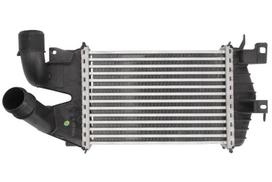tarpinis suslėgto oro aušintuvas, kompresorius THERMOTEC DAX007TT