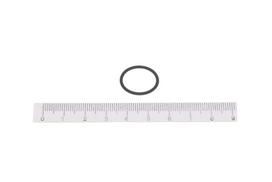 Slėgio kontrolės vožtuvas, (Common Rail) sistemos HP116 555