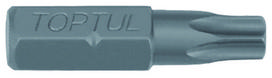 Uždedamas antgalis TORX TAMPER 5/16" T60H