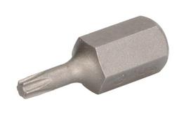 Uždedamas antgalis TORX T20