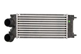 tarpinis suslėgto oro aušintuvas, kompresorius THERMOTEC DAC012TT