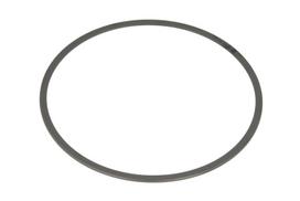 Automatinės pavarų dėžės sinchronizatoriaus žiedas 0750106078ZF