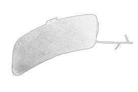 Buferio dangtis 5802316208