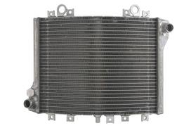 Radiatorius RAD-593 Tinka: KAWASAKI 1100D, 1100G (Kat)