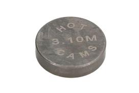 Vožtuvo plokštelė PZ130310 13mm x3,1mm,