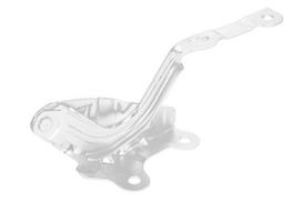 Variklio gaubto vyris 79110C7000