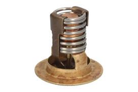 termostatas, aušinimo skystis 3856961