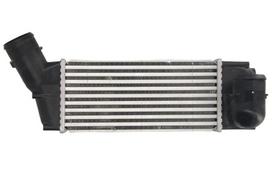 tarpinis suslėgto oro aušintuvas, kompresorius THERMOTEC DAC018TT