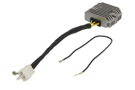 Įtampos reguliatorius DZE02304 (12V, 25A)