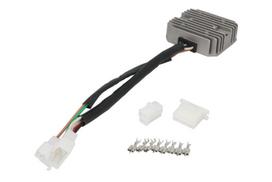 Įtampos reguliatorius DZE02331 (12V, 25A)