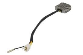 Įtampos reguliatorius DZE02336 (12V, 25A)