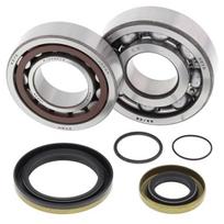 Alkūninio veleno guolių komplektas su tarpinėmis 24-1115 Tinka: GAS GAS