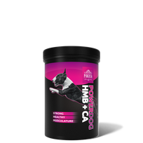 PowerDog HMB+CA 250g