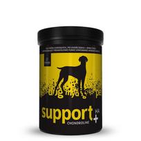 CHONDROLINE SUPPORT +HA 350g