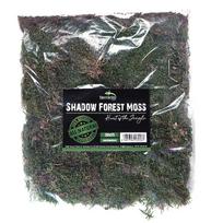 Terrario forest moss (miško samana) 30x25cm