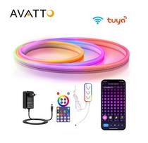 LED juostos NEON FLEX rinkinys, RGB skaitmeninė SPI, 5 metrai, su Wi-Fi TUYA valdikliu