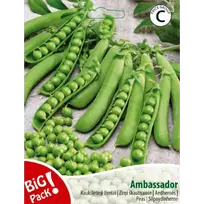 Žirniai raukšlėtieji Ambassador 20g BIG PACK