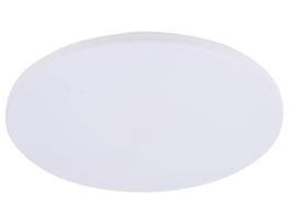 Plafoninis LED šviestuvas SPECTOR LIGHT, 12W, 4000K, 1200lm, IP20, Ø25 x 5 cm