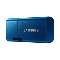 SAMSUNG USB Type-C 256GB 400MB/s read 110MB/s write resistant USB 3.1 Flash Drive Blue