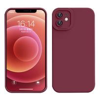 iPhone 12 Mini dėklas A