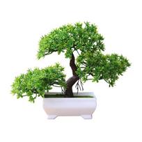 Bonsai medis Lengvas parduotuvei Išskirtinis svetingas pušies bonsai Mažos pušies formos Plastikinis