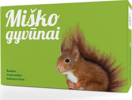 Lavinamųjų kortelių rinkinys YES FOR SKILLS MIŠKO GYVŪNAI