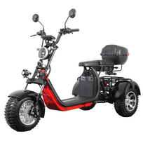 Elektrinis triratis Citycoco CP3.0 PRO 1000W 40AH Li-ion
