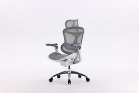 Sihoo Doro C300 ergonomic office chair, white
