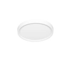 Ecolite W007-CCT/40W/BI - LED lubinis šviestuvas SALY LED/40W/230V IP40 balta