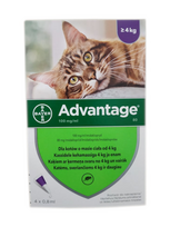 Advantage - katėms (0,8mlx4) *tirpalas* lizdinė plokštelė