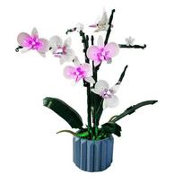 25CM LED apšvietimo rinkinys 10311 Orchidėjų konstruktoriui (NEĮtraukite modelio) Konstruktoriai vaikams