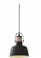 Pakabinamas šviestuvas Lubų šviestuvas NOOR,2691,AC220-240V,50/60Hz,1*E27, IP20, skersmuo 22 CM, viengubas, juoda