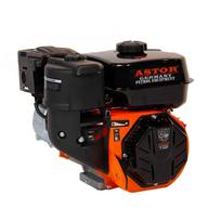 Benzininis variklis ASTOR BS-2/1C ( su reduktoriumi )