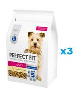 PERFECT FIT Adult 1+ sausas visavertis ėdalas suaugusiems mažų veislių šunims, gausus vištienos 3x2,6 kg