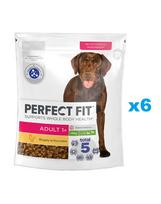 PERFECT FIT Adult 1+ sausas visavertis ėdalas suaugusiems didelių veislių šunims su vištiena 6x825 g