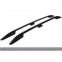 Stogo relingai, BĖGIAI SKYPORT VOLKSWAGEN T7 2024+