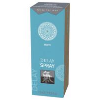 HOT Shiatsu Delay - ejakuliacijos atidėliojimo purškiklis vyrams - 15 ml