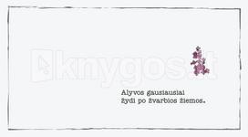 Atvirukas ALYVOS