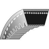 Sodo traktoriuko diržas Stiga 13x925mm La