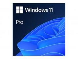 Software MICROSOFT Windows 11 Pro, 64Bit, 1pk, OEI DVD FQC-10538
