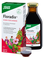 FLORADIX  Floradix skysta vitaminų B1, B2, B6, B12, C formulė, su aviečių sultimis, skystis, 250 ml