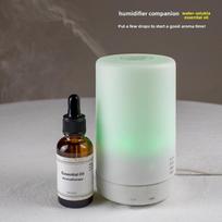 30ML Vandenyje tirpių drėkintuvo aromaterapinių aliejų rinkinys - Baltoji arbata, Rožė, Levanda Marine essential oils