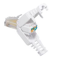 Kištukas RJ45 (8P8C) CAT 5, CAT 6 UTP kabeliams